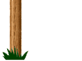 woodvnbottom2.gif (2005 bytes)