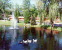 pond