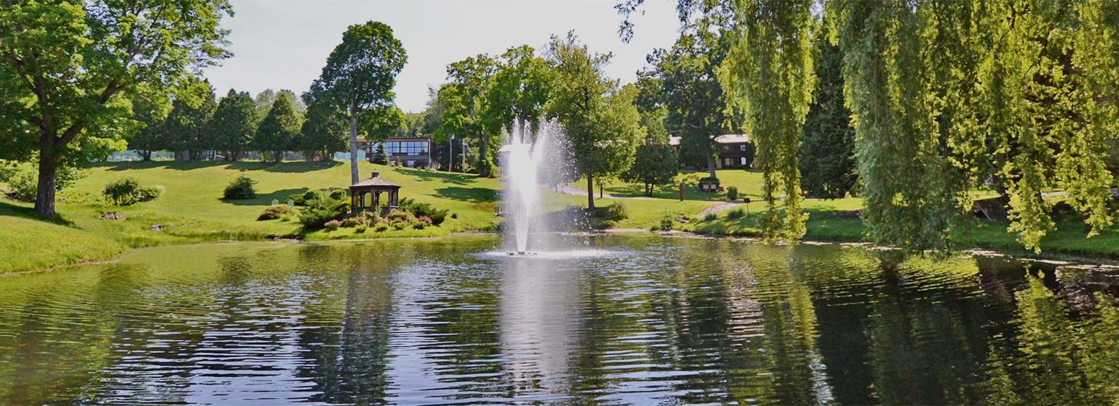 Large pond with a fountain surrounded by trees